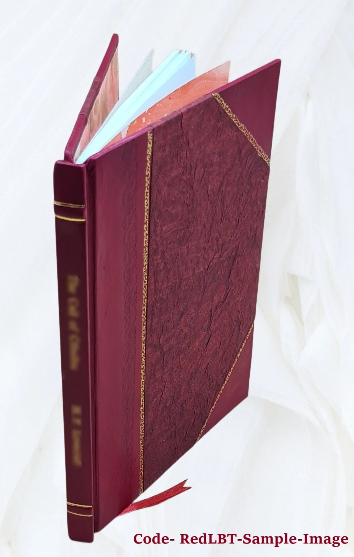 Rogue River National Forest (N.F.), Steamboat Mountain mining operations : environmental impact statement. Volume D 2003 [Leather Bound]