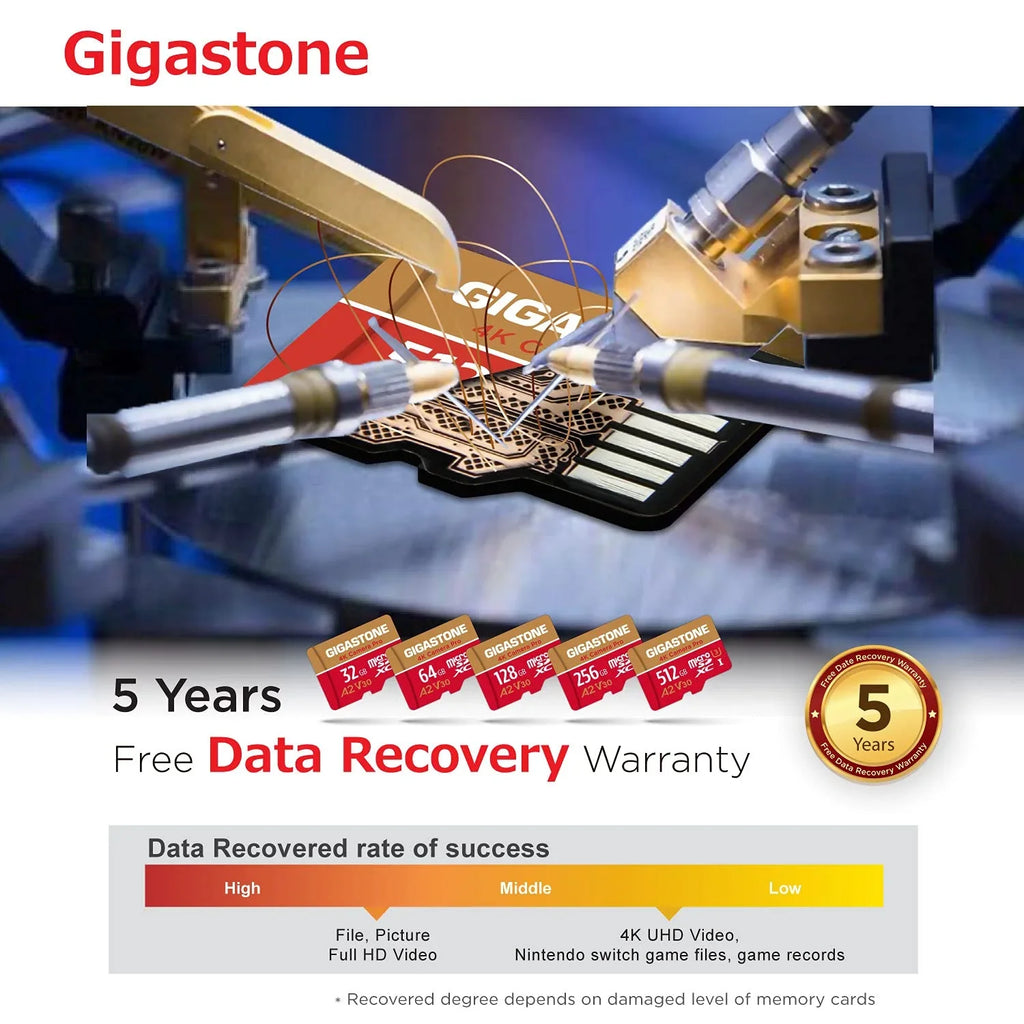 Gigastone 128GB Micro SD Card, 4K Video Recording, 4K Camera Pro, compatible with Nintendo Switch, Dash Cam, GoPro Cameras, R/W up to 100/50 MB/s, Micro SDXC UHS-I A1 V30 Class 10, 2 Pack (2x128GB)