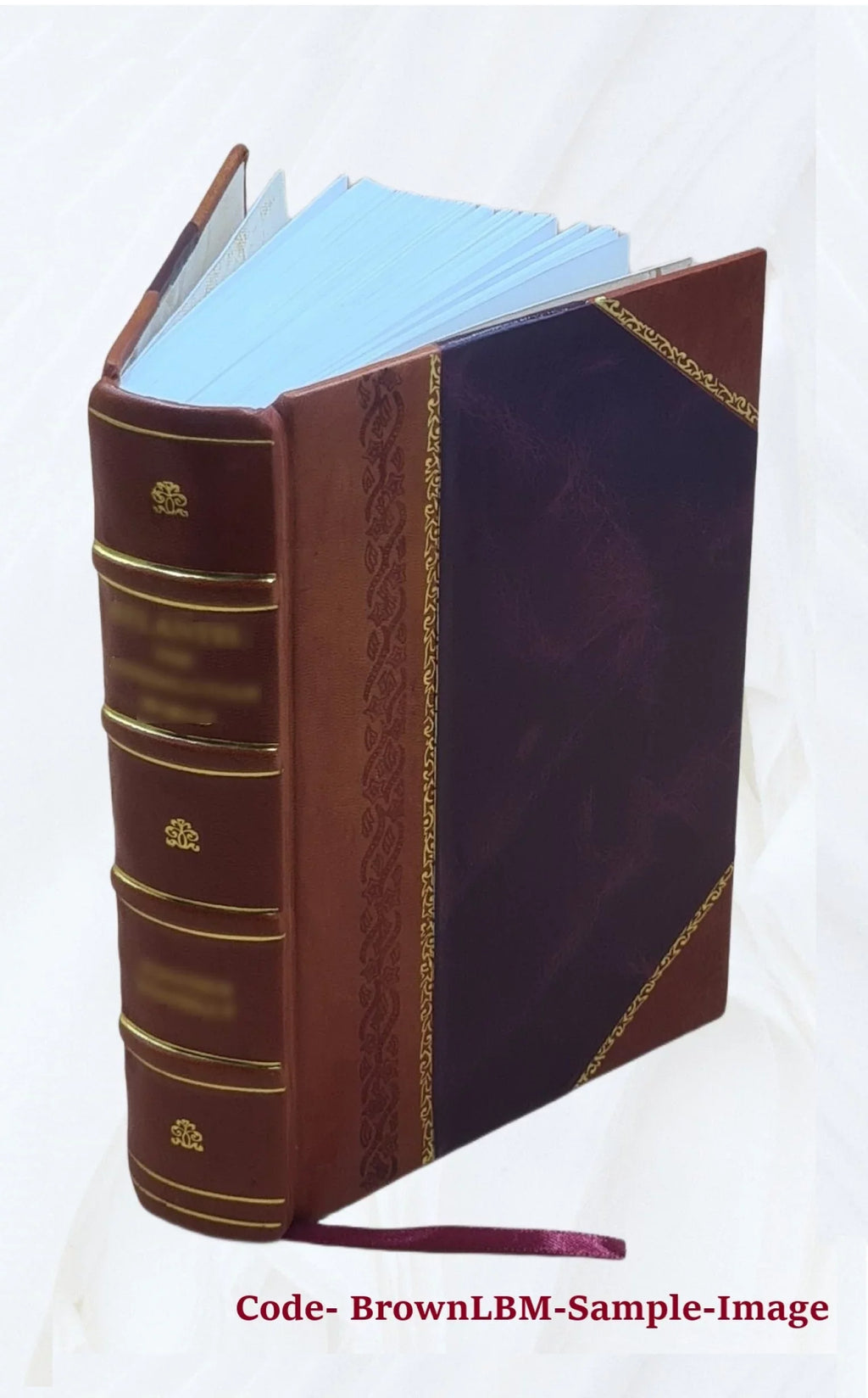 Pameti skol okresu Karlinskeho : soudni okresy Karlin a Brandys N.L. od nejstarsich casu, zvlasge vsak od r. 1848 az do r. 1898 1898 [Leather Bound]