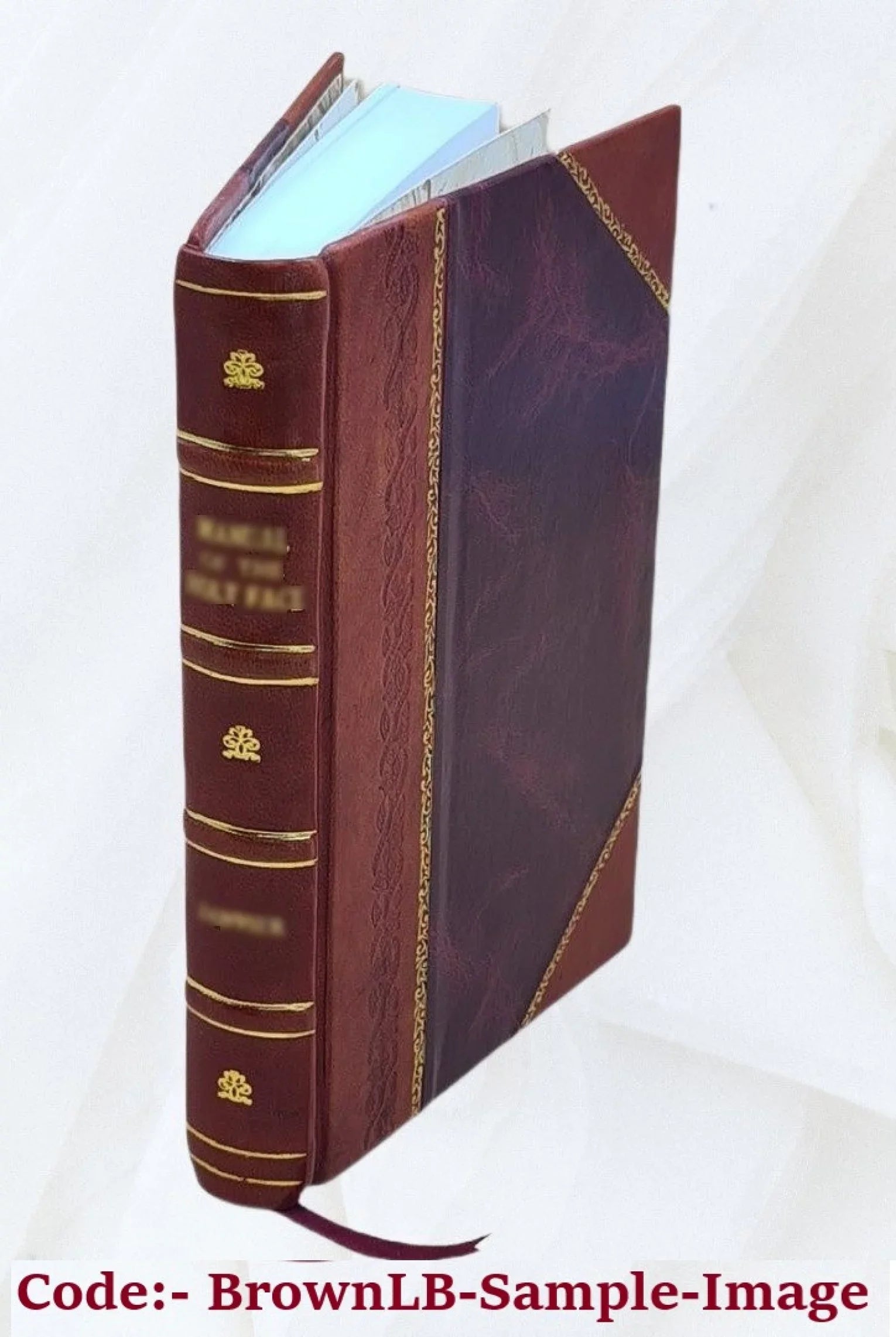 Slovenský priemysel roku ... : výročná zpráva Ústredného sdruěnia Slovenského priemyslu. Volume 1926 1926 [LEATHER BOUND]