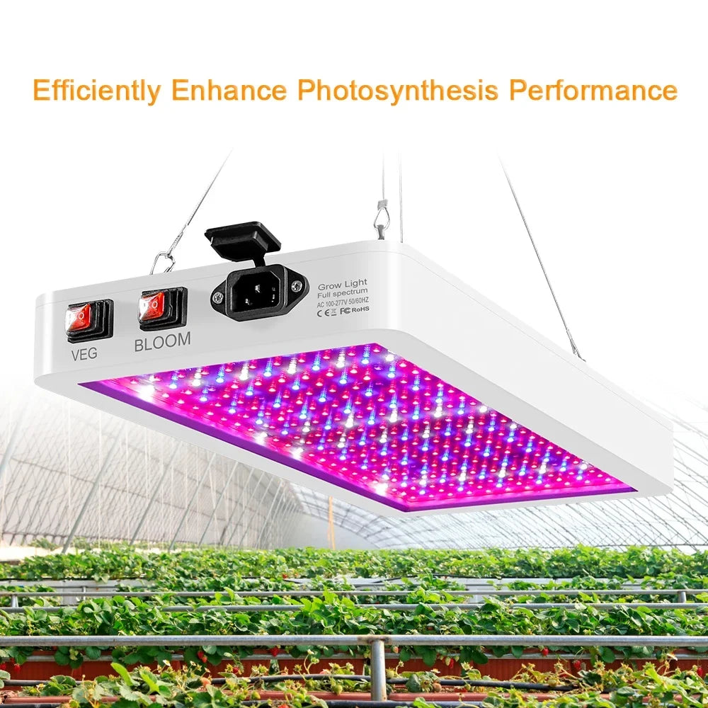 Aibecy Dual Switch LED Grow Light 2000W for Indoor Plants Full Spectrum IP65 Waterproof Ideal for Seedlings Flowers Greenhouse