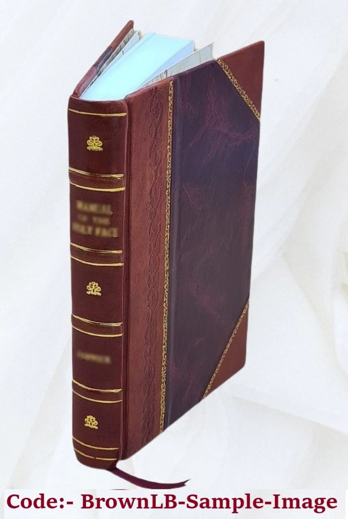 Ad Marcum Brutum Orator , Jacobi Lodoici Strebaei, Victoris Pisani et cujusdam incerti authoris commentariis, item Philippi Melanchthonis argumentis et scholiis illustratus Volume