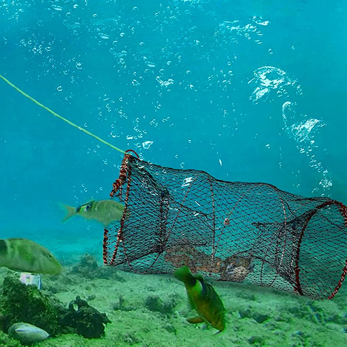 iMounTEK Crab Trap Net Bait Fishing Pot Cage for Shrimp Prawn Crayfish Lobster, 2 Packs, 22x11.8x11.8in
