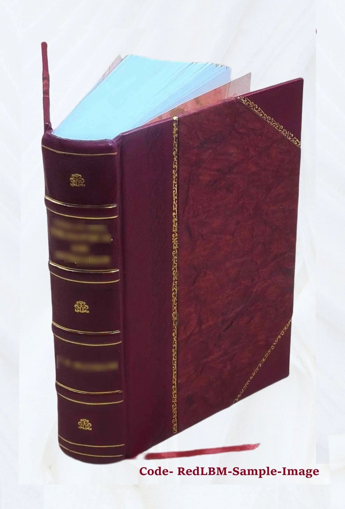 When ghost meets ghost 1914 [Leather Bound]