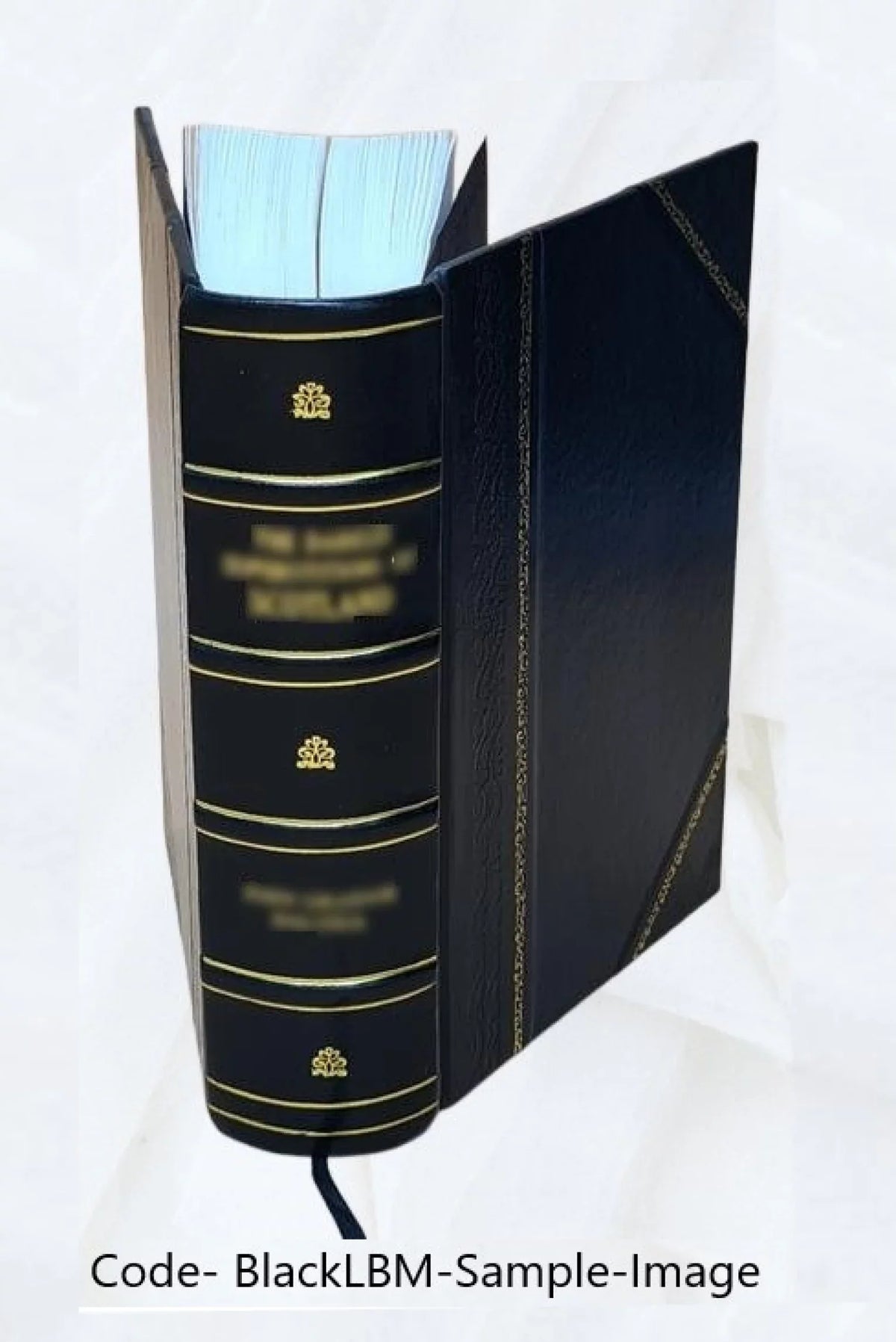 Pameti skol okresu Karlinskeho : soudni okresy Karlin a Brandys N.L. od nejstarsich casu, zvlasge vsak od r. 1848 az do r. 1898 1898 [Leather Bound]