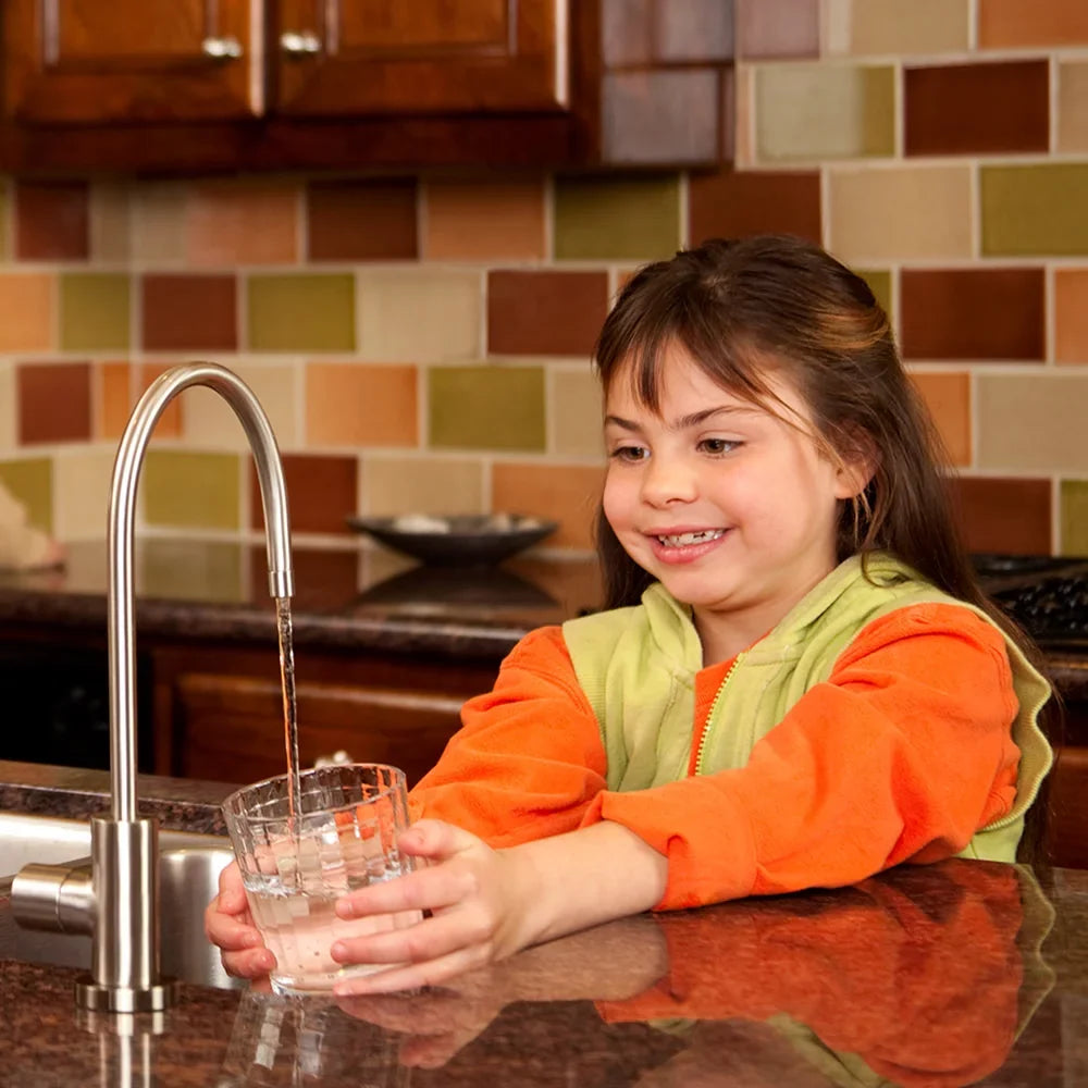 WaterChef UR90 Under-Sink Water Filter Cartridge, 1,000 gal. Capacity, NSF/ANSI Certified for 75 Contaminants