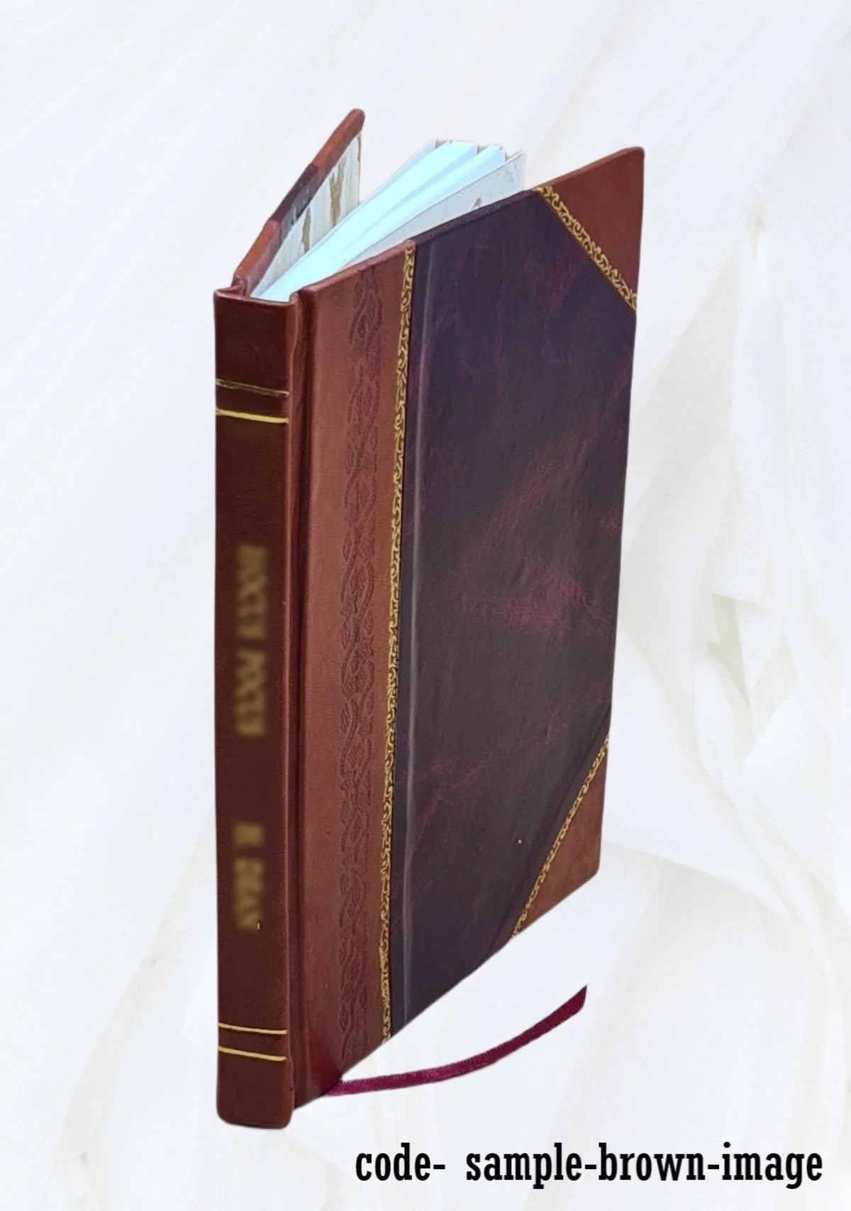 Edinburgh & Glasgow to Stirling, : Doune, Callander, Lake of Menteith, Loch Ard, Loch Achray, the Trosachs, Loch Katrine, Loch Lomond... 1873 [Leather Bound]